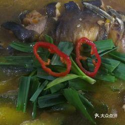 鱼吃蕃瓜不,不可思议的生态奇观揭秘