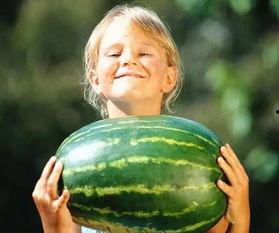 汕头龙湖吃瓜事件,一场网络热议背后的真相与反思