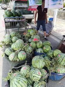 汕头龙湖吃瓜事件,一场网络热议背后的真相与反思