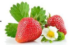 吃梨瓜300字,一场味蕾的300字之旅