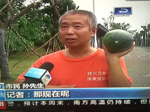 吃瓜群众421事件,吃瓜群众热议的焦点事件深度解析