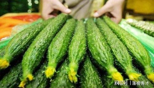 吃瓜厨房黄瓜,黄瓜的清新魅力，揭秘家常美食新宠