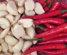 蓝瓜晒干怎么吃,探索美味晒干蓝瓜的多重吃法