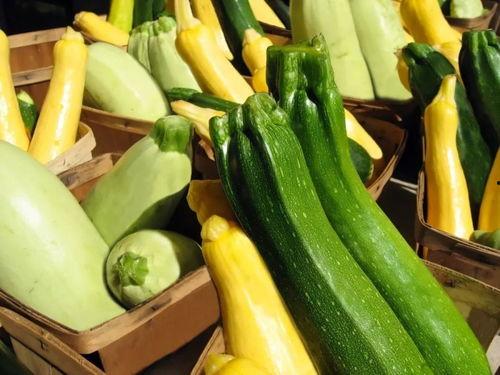 stg吃瓜,一场关于“吃瓜”的狂欢盛宴