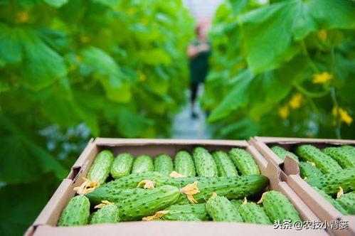 财经和南理吃瓜,揭秘校园财经圈的那些事儿