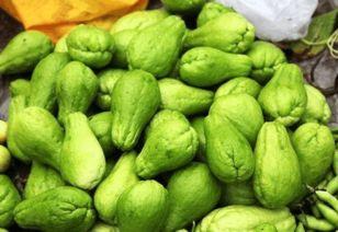 吃瓜的东西声控,揭秘瓜类美食的奇妙声音之旅