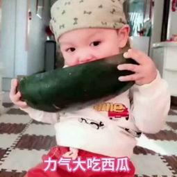 兔宝宝吃瓜视频,萌宠趣味瞬间，萌化你的心