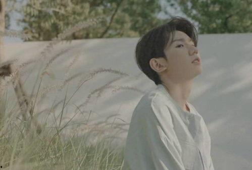 吃瓜小郡主,揭秘宫廷背后的八卦风云