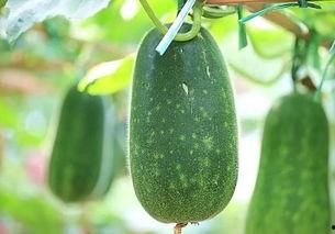 吃瓜群众吃热瓜,吃瓜群众的热议焦点大盘点