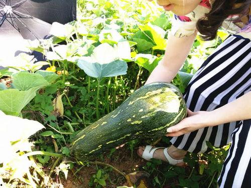 云霄吃瓜情报处,揭秘娱乐圈幕后风云