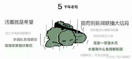 瓜哥带你去看吃瓜,尽享“吃瓜”盛宴