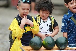 夏日吃瓜萌娃,甜蜜童年瞬间