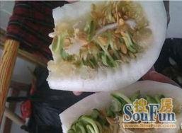 绿地最新吃瓜,揭秘背后惊人真相