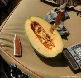 瓜哥吃的是啥瓜,揭秘他钟爱的神秘瓜类