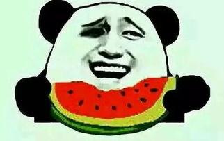 带你吃瓜节奏大队,带你领略“吃瓜节奏大队”的独特魅力