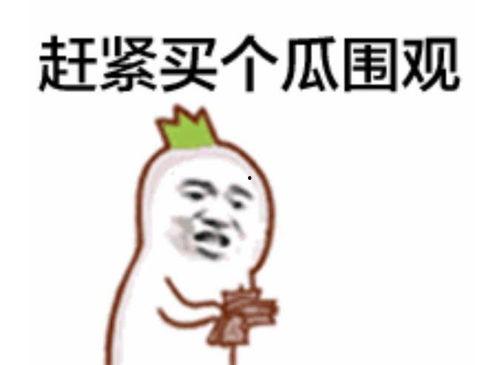 吃瓜群众2018111,揭秘吃瓜群众2018111背后的故事