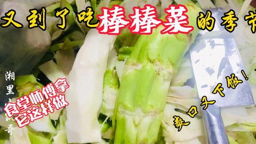 翔安老师吃瓜,揭秘校园八卦背后的真相