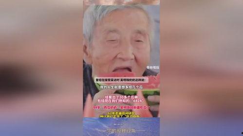 吃瓜奶奶,网络红人的崛起与影响力