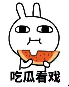 吃瓜吃到自己头上了瓜老师,从吃瓜到被瓜的奇妙转变