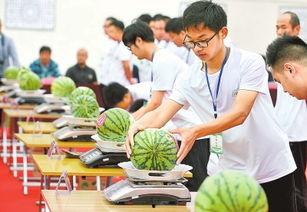 夏邑吃瓜新闻,揭秘当地奇闻轶事