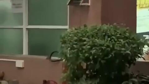 夏邑吃瓜新闻,揭秘当地奇闻轶事