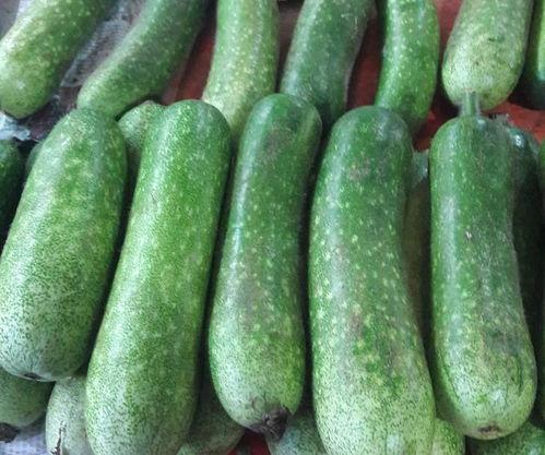 光遇瓜吃瓜,揭秘游戏背后的精彩故事