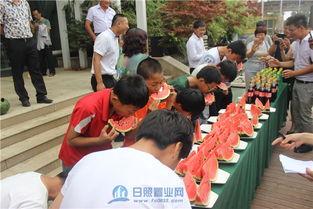 信华城吃瓜大赛,全民狂欢，瓜王争霸赛盛况空前