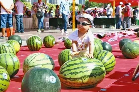 信华城吃瓜大赛,全民狂欢，瓜王争霸赛盛况空前
