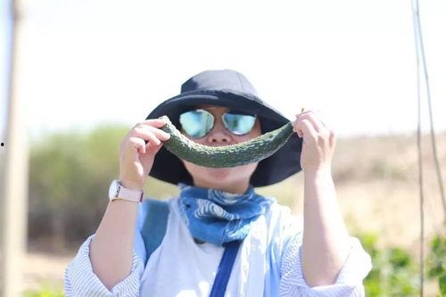 异地女友吃瓜,揭秘女友的“吃瓜”日常