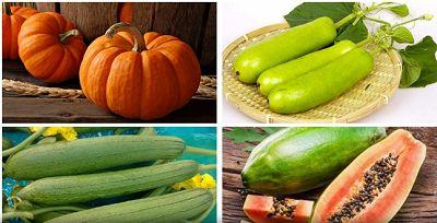 立秋吃瓜视频全集,跟随视频全集探寻传统美食文化