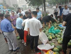 热心市民喜吃瓜,揭秘娱乐圈幕后故事