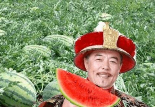 侍卫吃瓜姜梨,瓜姜梨的清凉之旅