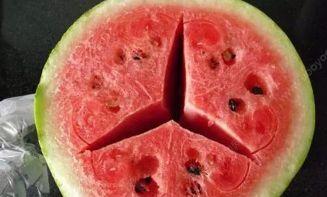 吃瓜不卖瓜是什么意思呀,网络流行语的深层含义与趣味解读