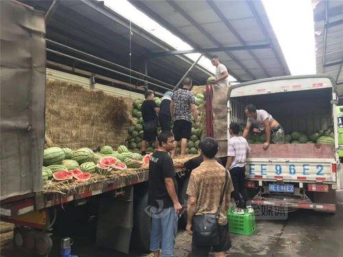 泸州合江爆料吃瓜,揭秘背后真相