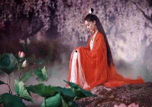 郑吒吃瓜作品,揭秘娱乐圈背后的秘密与真相