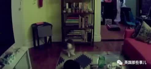 宿舍吃瓜闹鬼事件