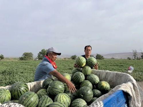 1023事件吃瓜,揭秘网络舆论风暴背后的真相