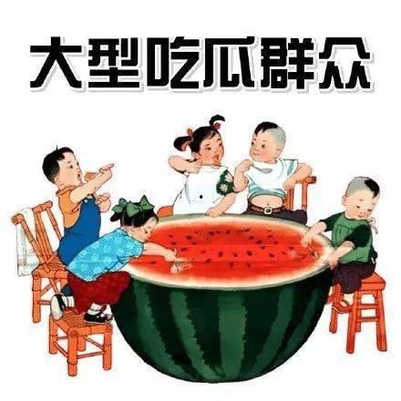 凌的吃瓜日记问鼎,揭秘娱乐圈幕后风云