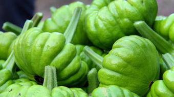 吃七瓜,探寻夏日消暑美食之旅