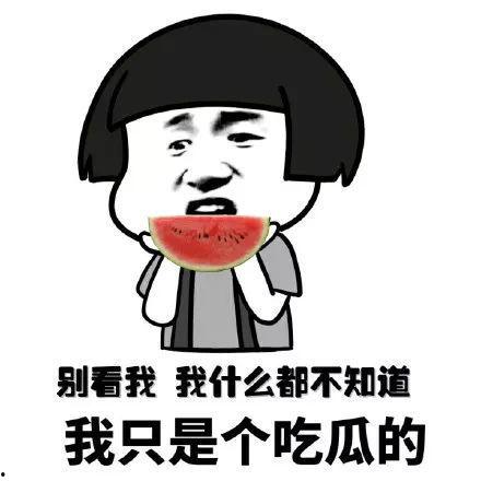 理性吃瓜的搞笑视频,搞笑视频带你领略幽默魅力